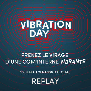 VIBRATION DAY, les Replays