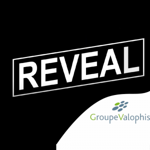 « Reveal », la Web TV qui fédère les employés de Valophis !